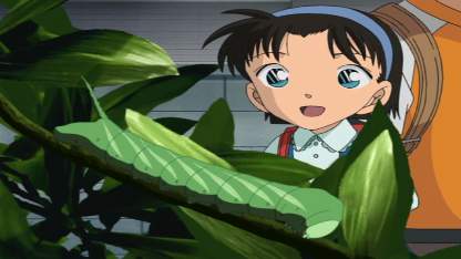 Detektiv Conan Folgen Deutsch Stream