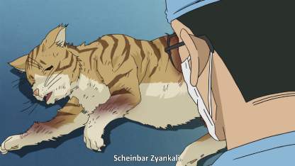 Detektiv Conan Folge 981 (GerSub)